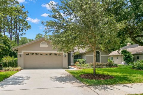 Single Family Residence in SAFETY HARBOR FL 1201 WILLOWICK CIRCLE.jpg