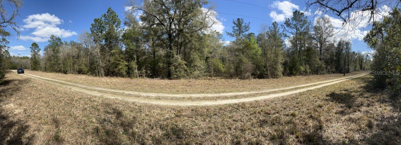 WILISTON HLNDS - Land