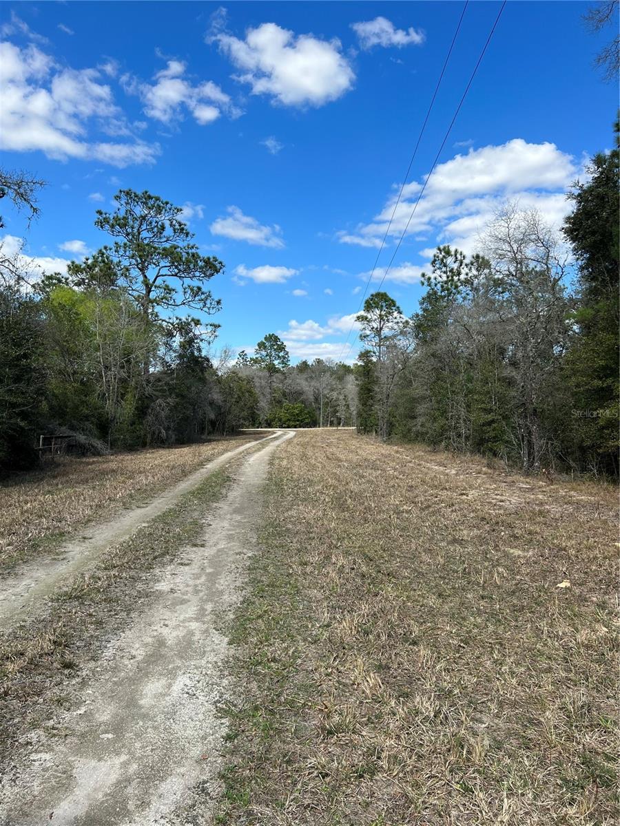 WILISTON HLNDS - Land