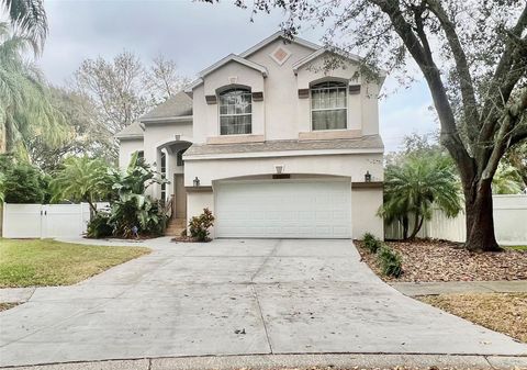 A home in VALRICO