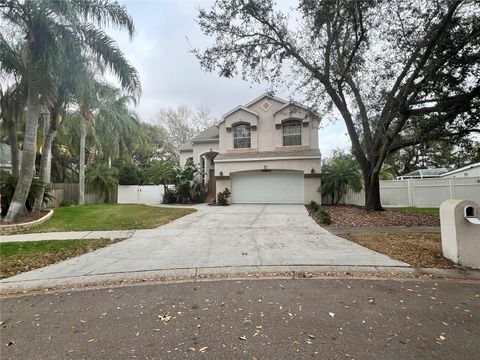 A home in VALRICO