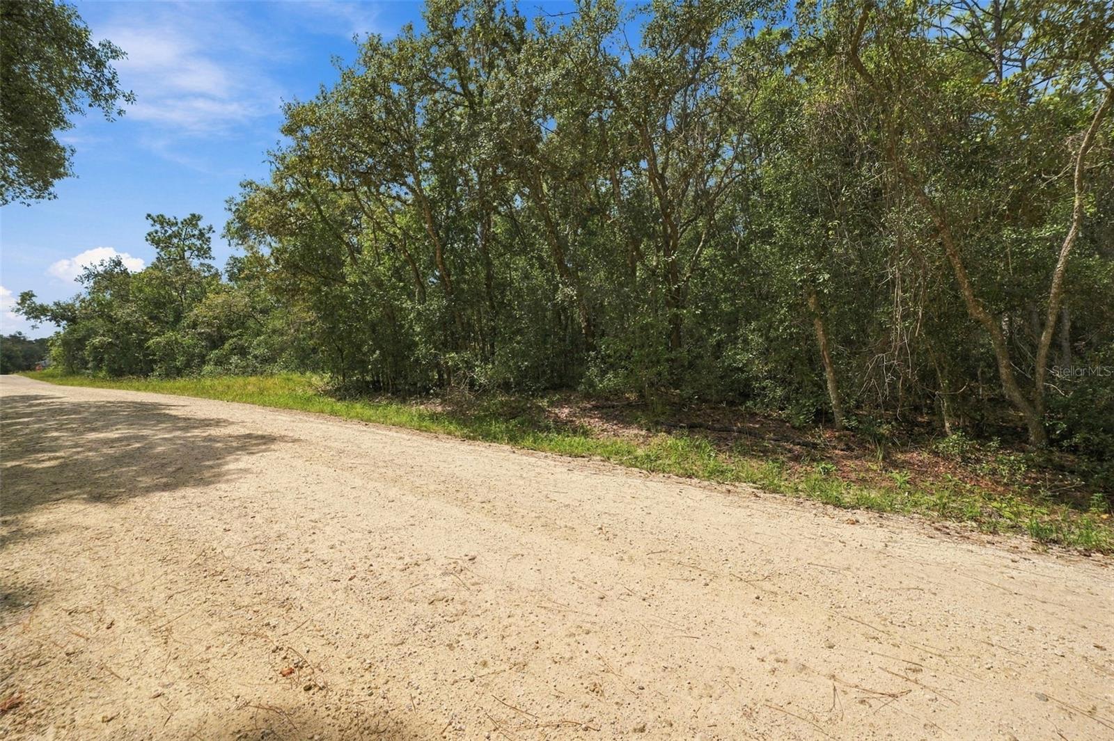 ELAINE DRIVE