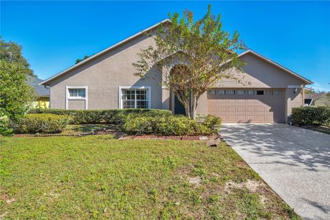6019 LONG PEAK DRIVE ORLANDO FL 32810