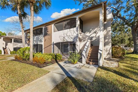 2990 BONAVENTURE CIRCLE 103 PALM HARBOR FL 34684