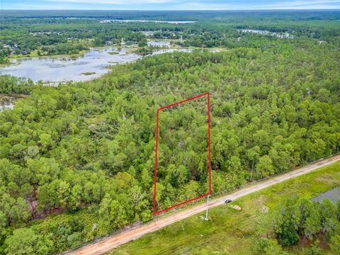 BUCK RUN DRIVE PAISLEY FL 32767