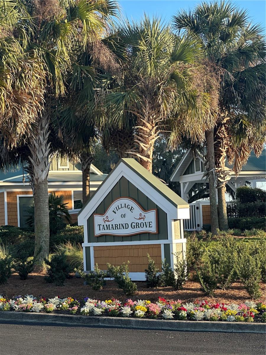 2427 TAMARIND GROVE RUN