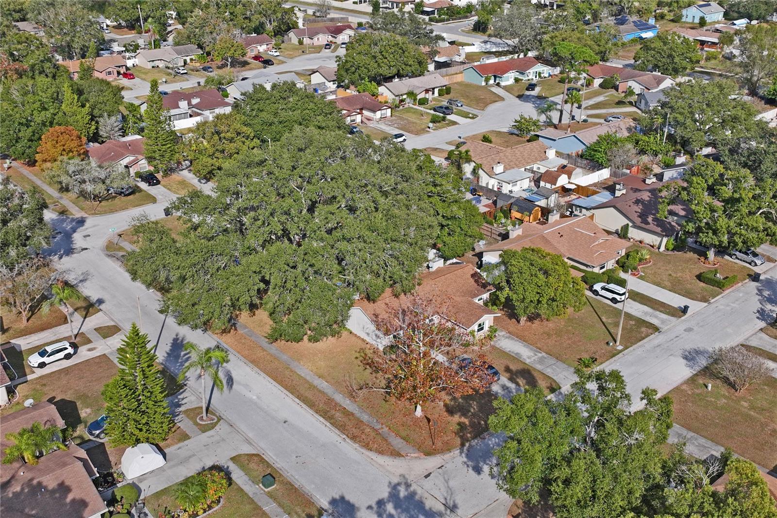 LOWELL VILLAGE - Residential