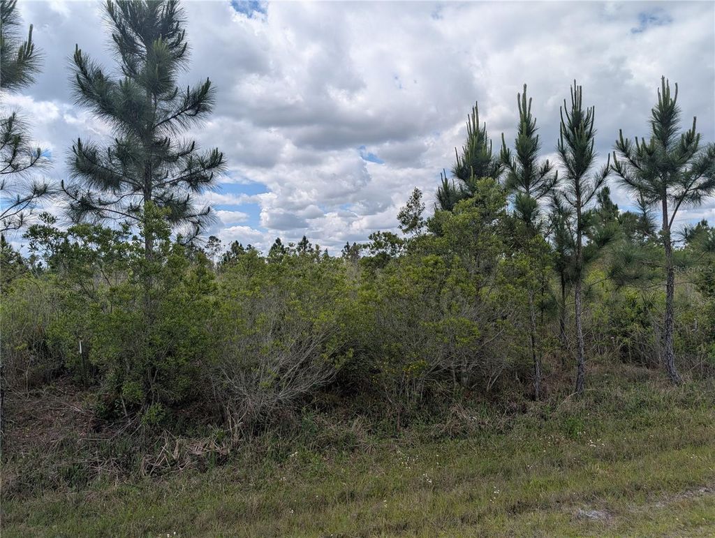 Photo of Althea Drive, Indian Lake Estates, FL 33855 (MLS # P4938538)