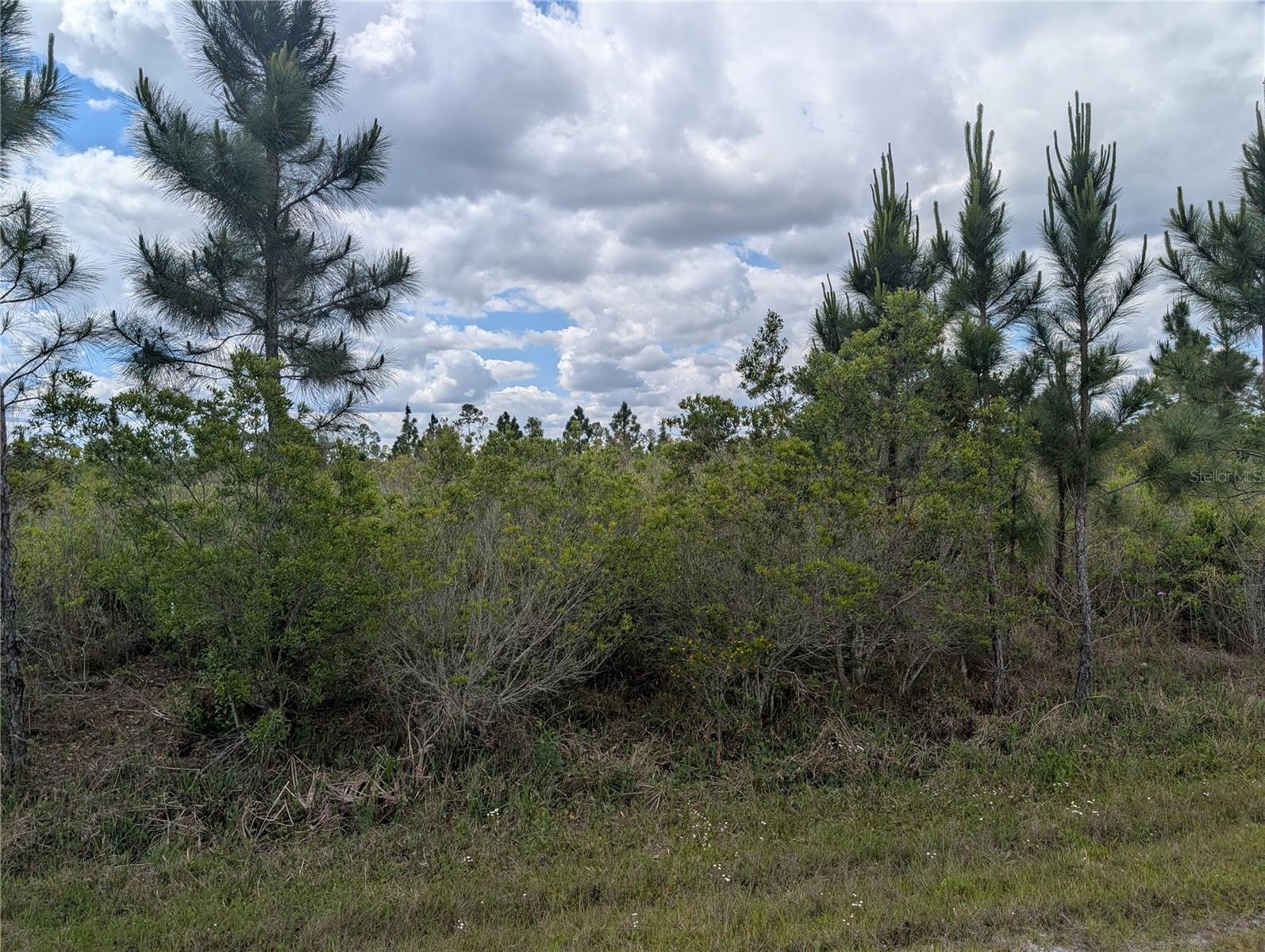 WOODLANDS - Land