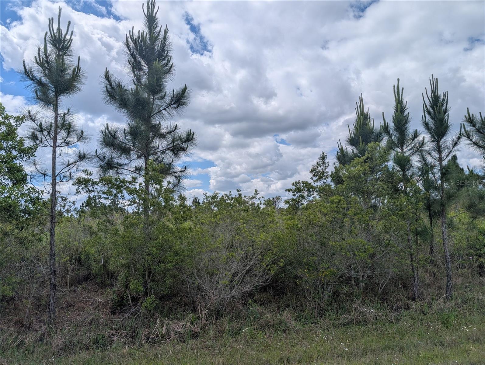 WOODLANDS - Land