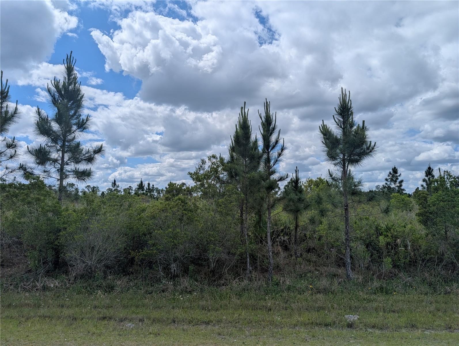 WOODLANDS - Land