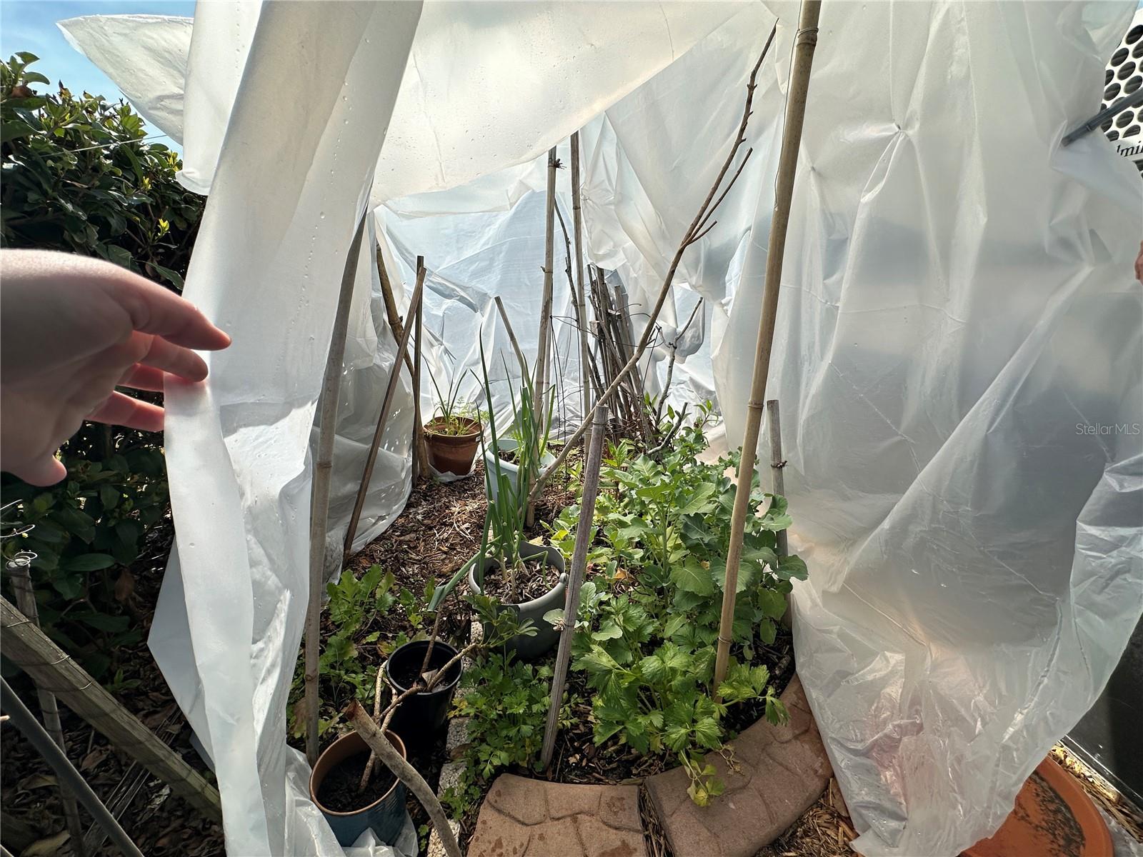 VERA CRUZ UNIT 2 - Residential