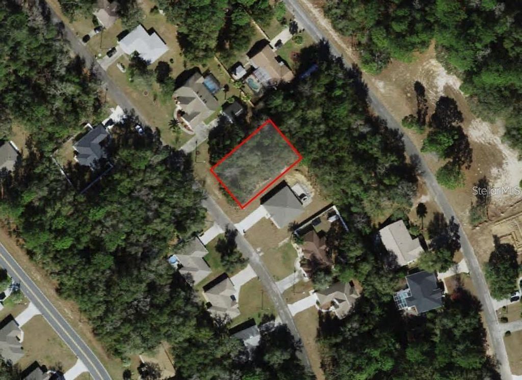 Photo of 9049 N Alpinia Drive, Citrus Springs, FL 34434 (MLS # TB8443931)