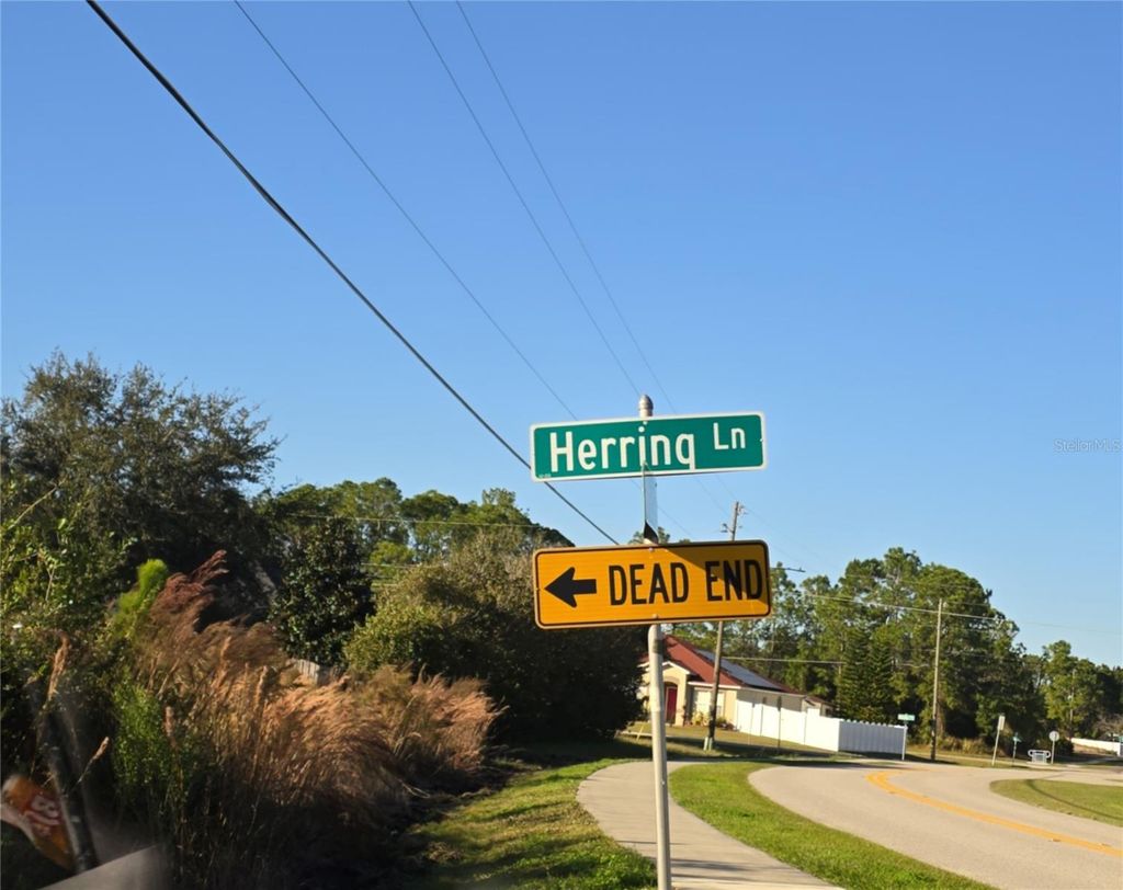 Photo of 103 Herring Lane, Kissimmee, FL 34759 (MLS # S5144489)