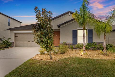 13422 WILLOW BLUESTAR LOOP RIVERVIEW FL 33579
