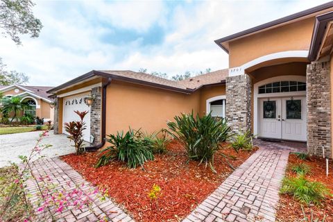 3701 BARNHOUSE PLACE VALRICO FL 33596