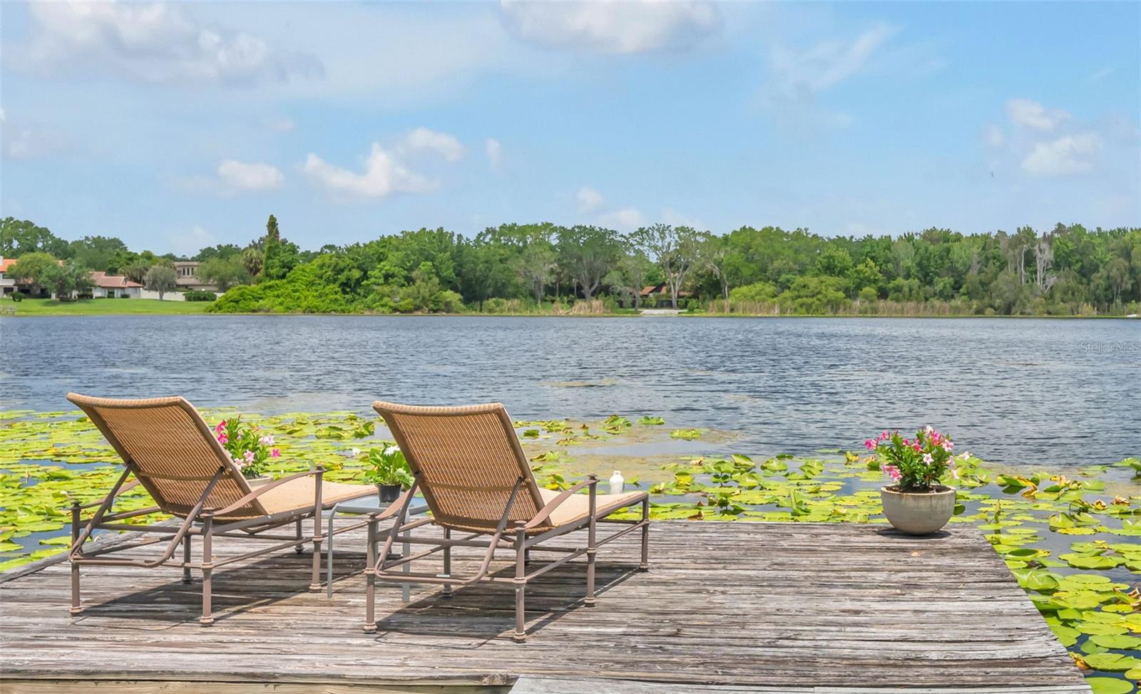 SOUTH LAKEMONT SHORES - Residential