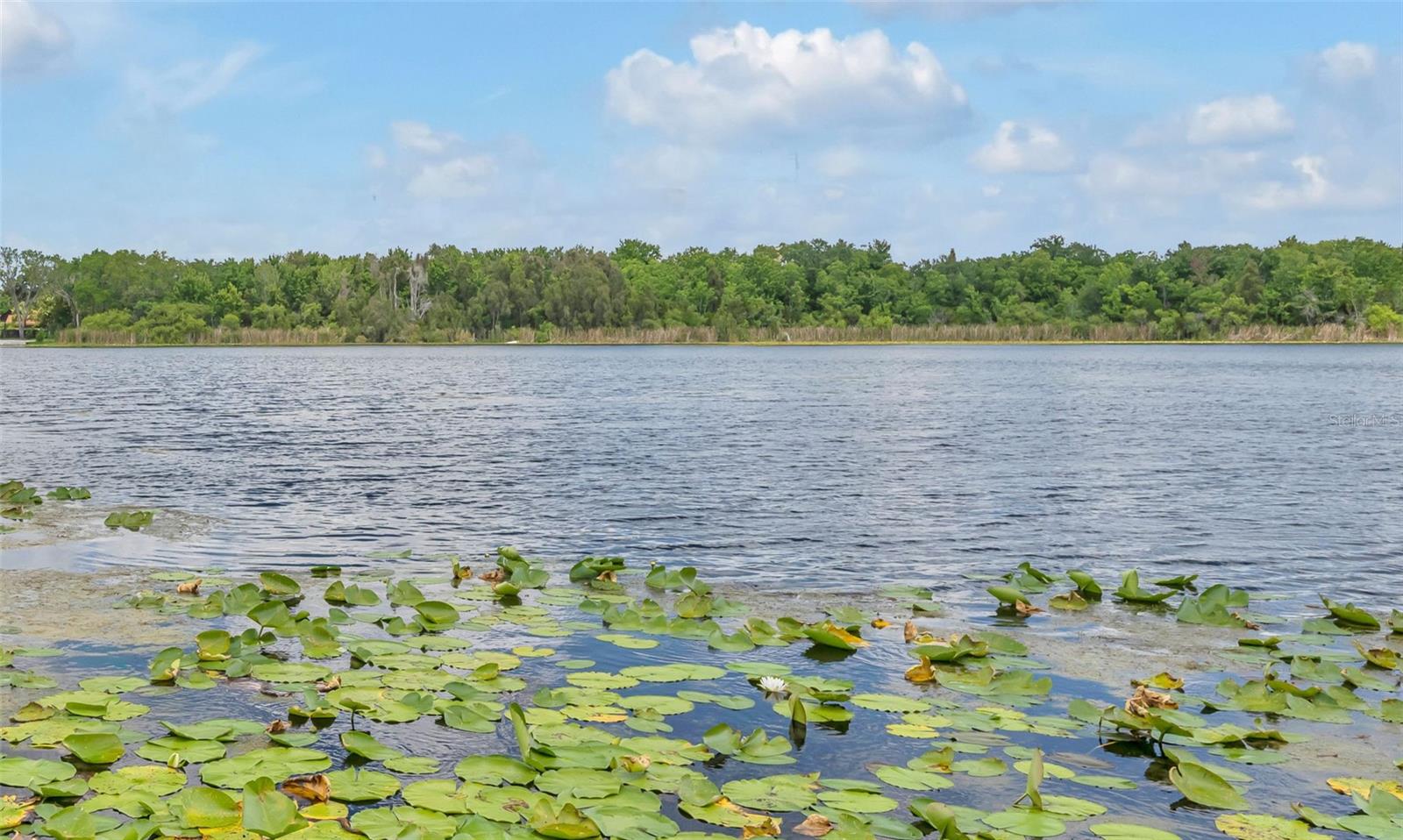 Casas a venda 1 - Jen Dantas 1841 LAKE SPIER DRIVE