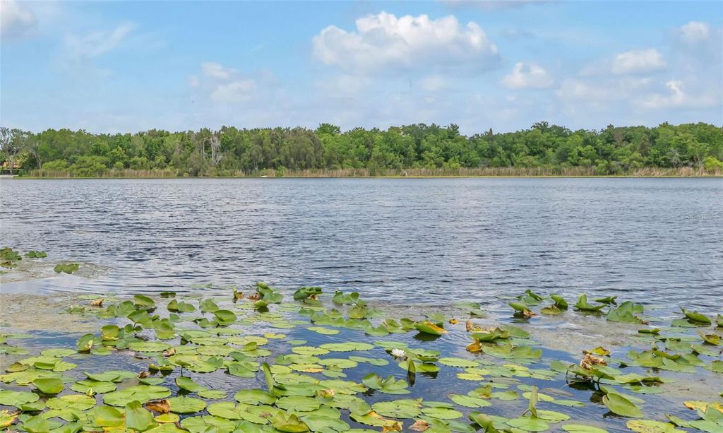 Photo of 1841 Lake Spier Dr, Winter Park, FL 32789 (MLS # O6407841)