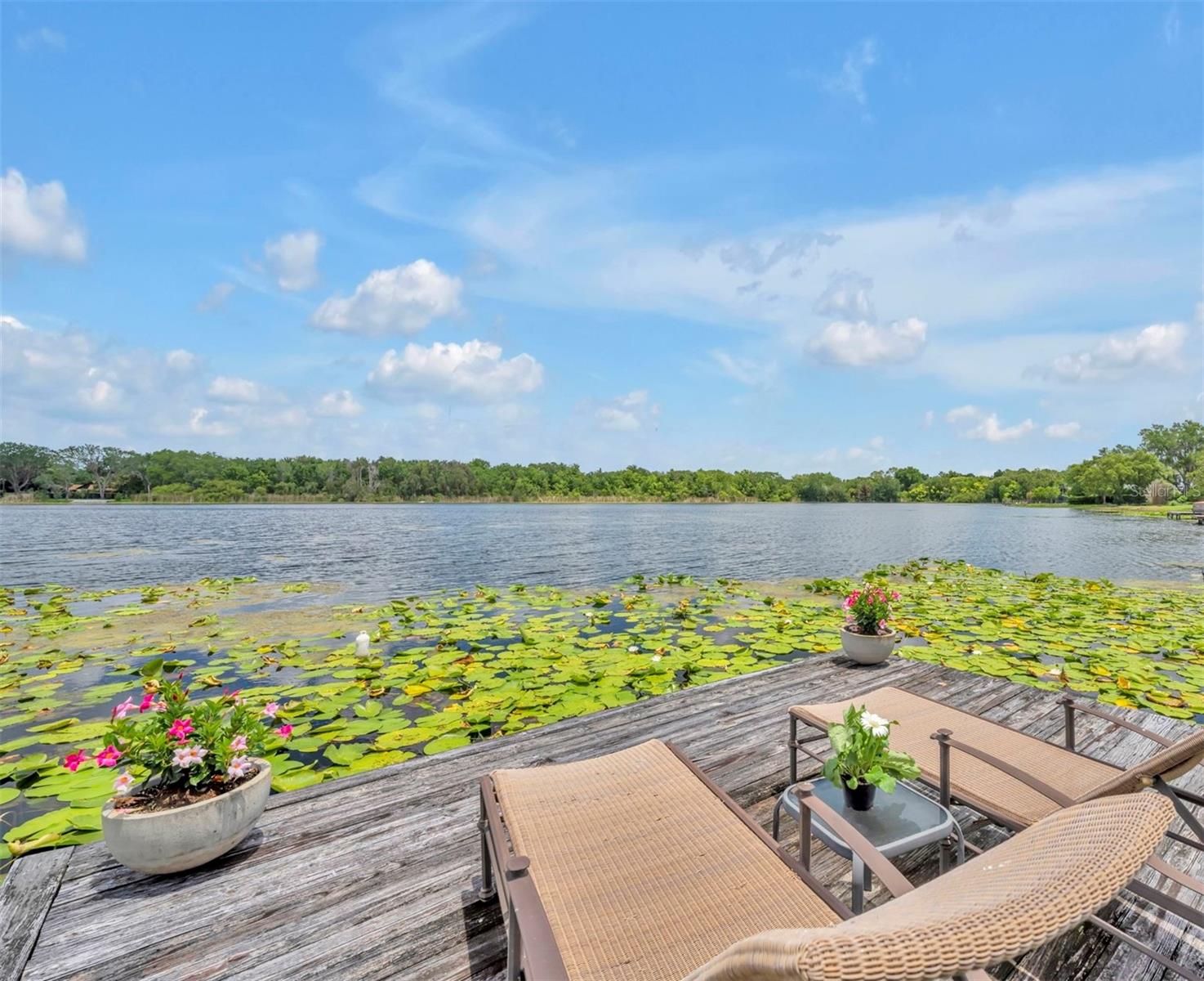 SOUTH LAKEMONT SHORES - Residential