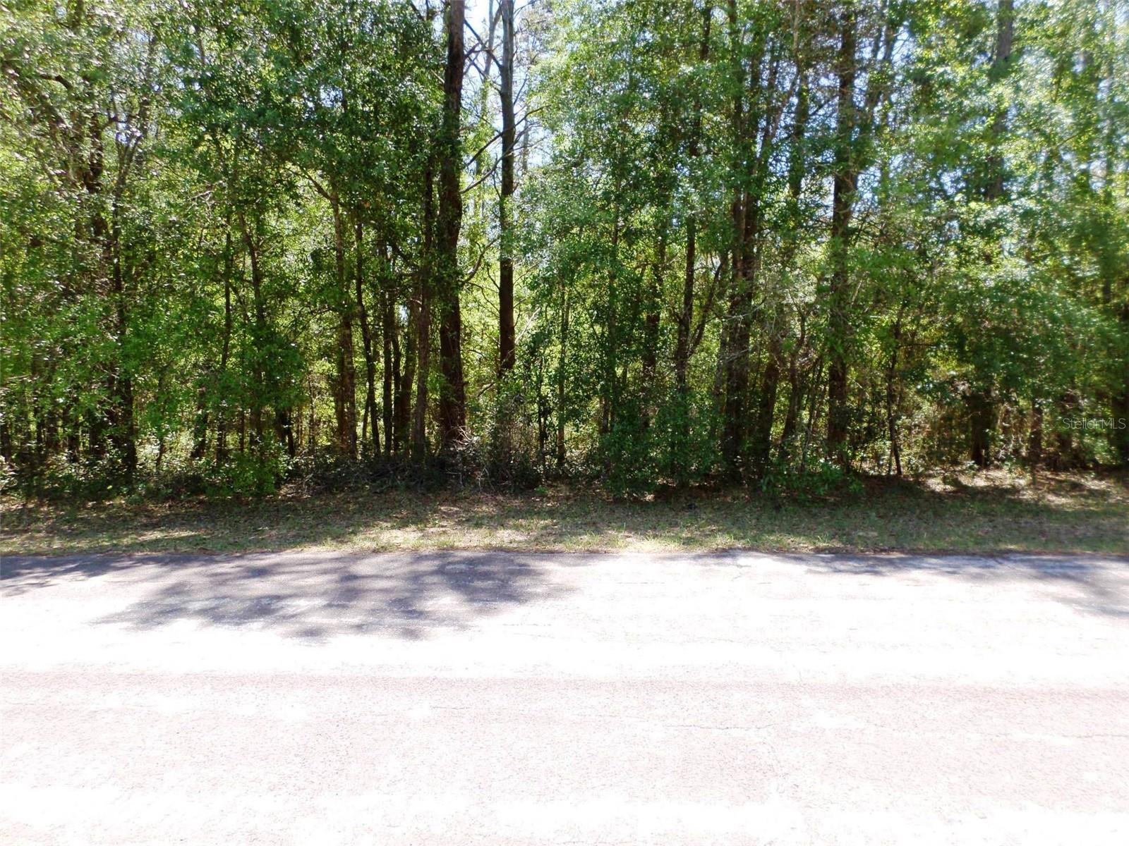 CITRUS SPGS UNIT 01 - Residential