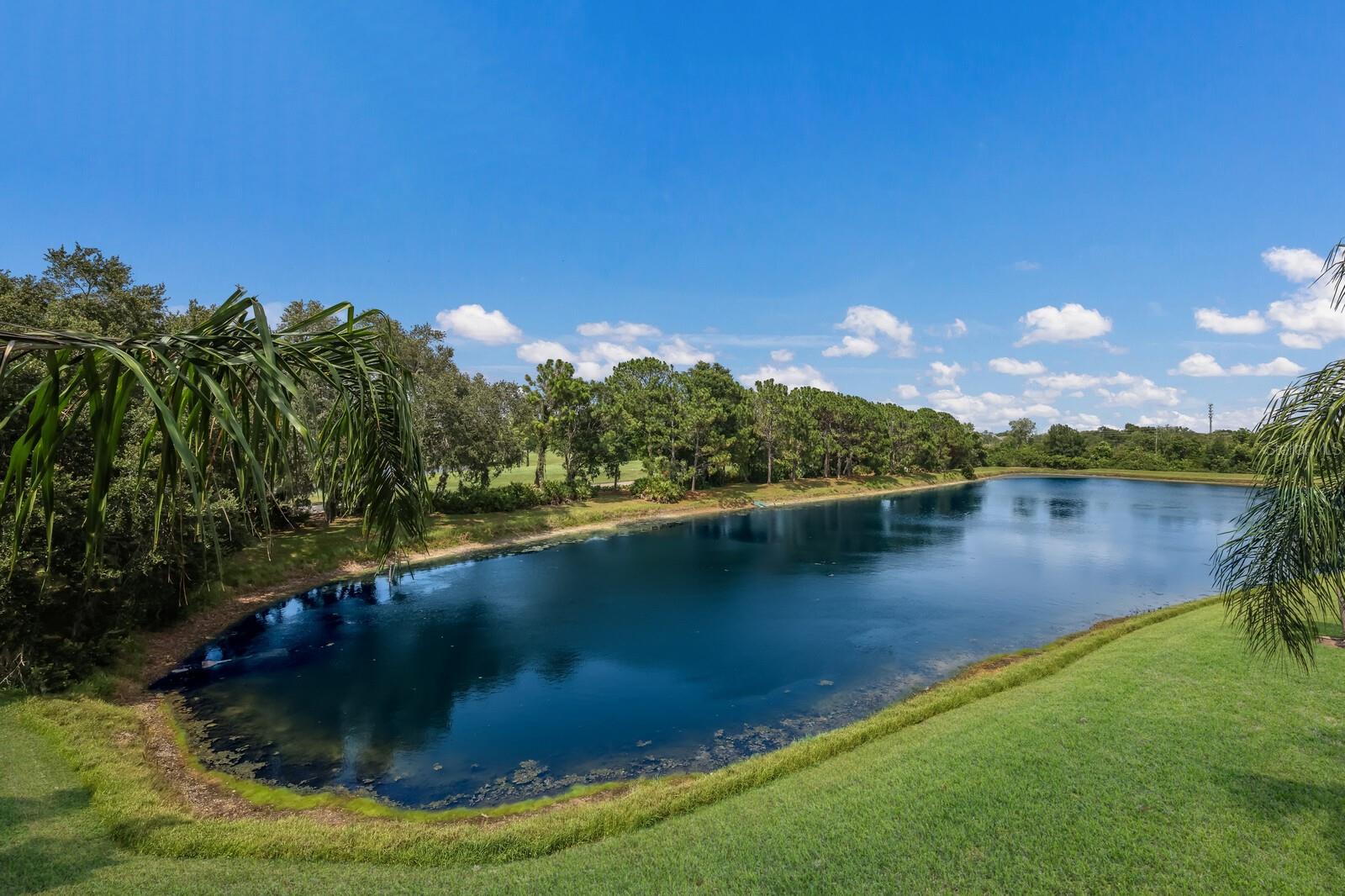 UNIVERSITY PARK - Residential