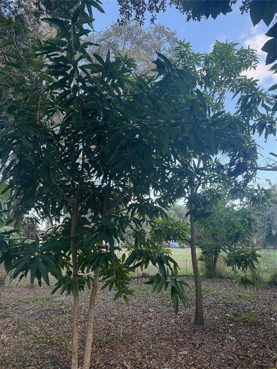 WOODALL & DOYLES - Residential Lease