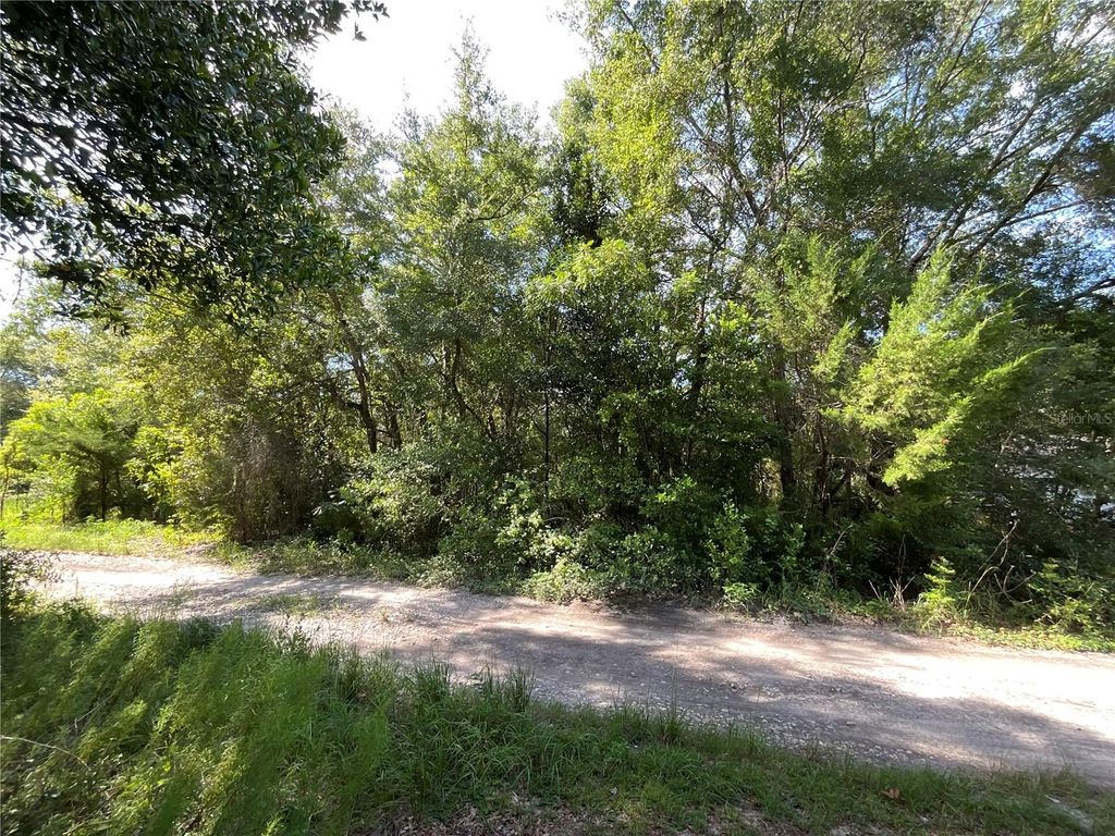 Photo of 2911 Van Buren Street, Inverness, FL 34453 (MLS # TB8413293)