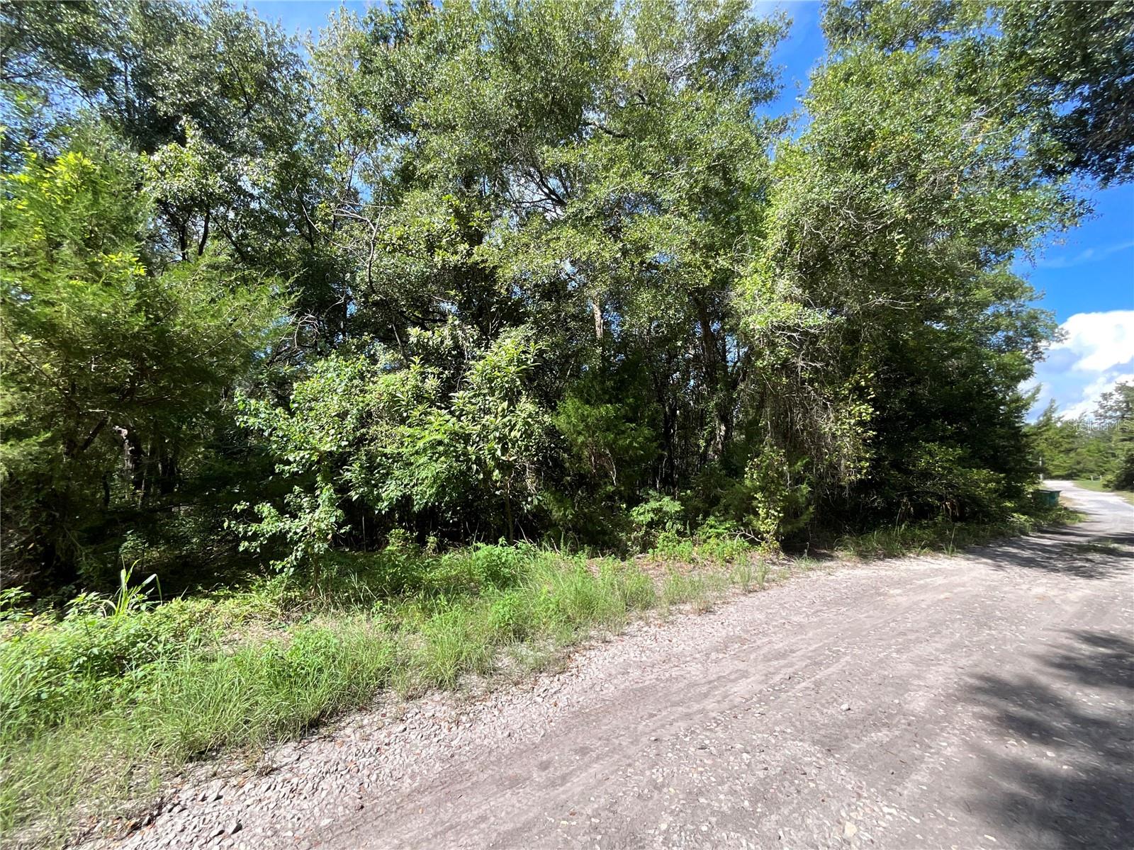This 0.28 acre wooded lot offers affordability with time to plan for a new home to be built on. This is a great investment opportunity as Inverness continues to grow in population. It is minutes away from downtown Inverness with all the local shops and restaurants. The road is hard gravel, and there is electricity nearby.