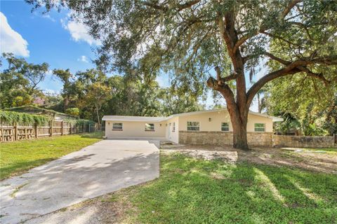 Photo of 2524 Blue Lake Court, Apopka, FL 32703 (MLS # O6375916)