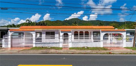 CARR. #3 KM 115 BO. GUARDARRAYA PATILLAS  00723