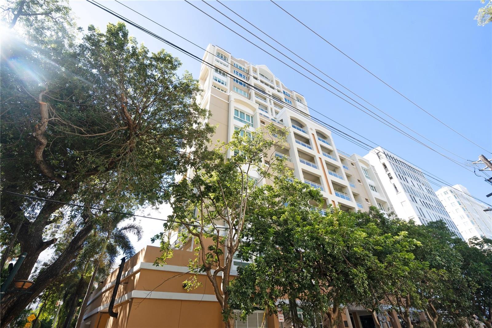 20 CARRION COURT 1501