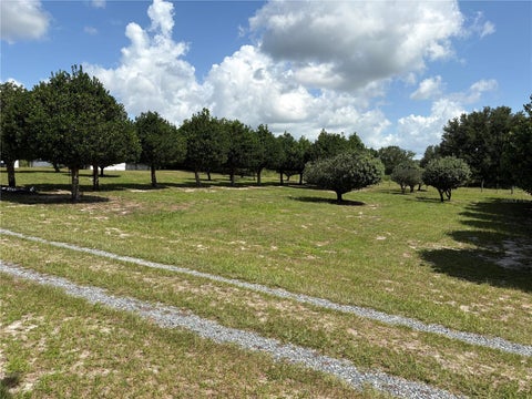 Tiny photo for 1238 S Us 301, Summerville, FL 33585 (MLS # G5114698)