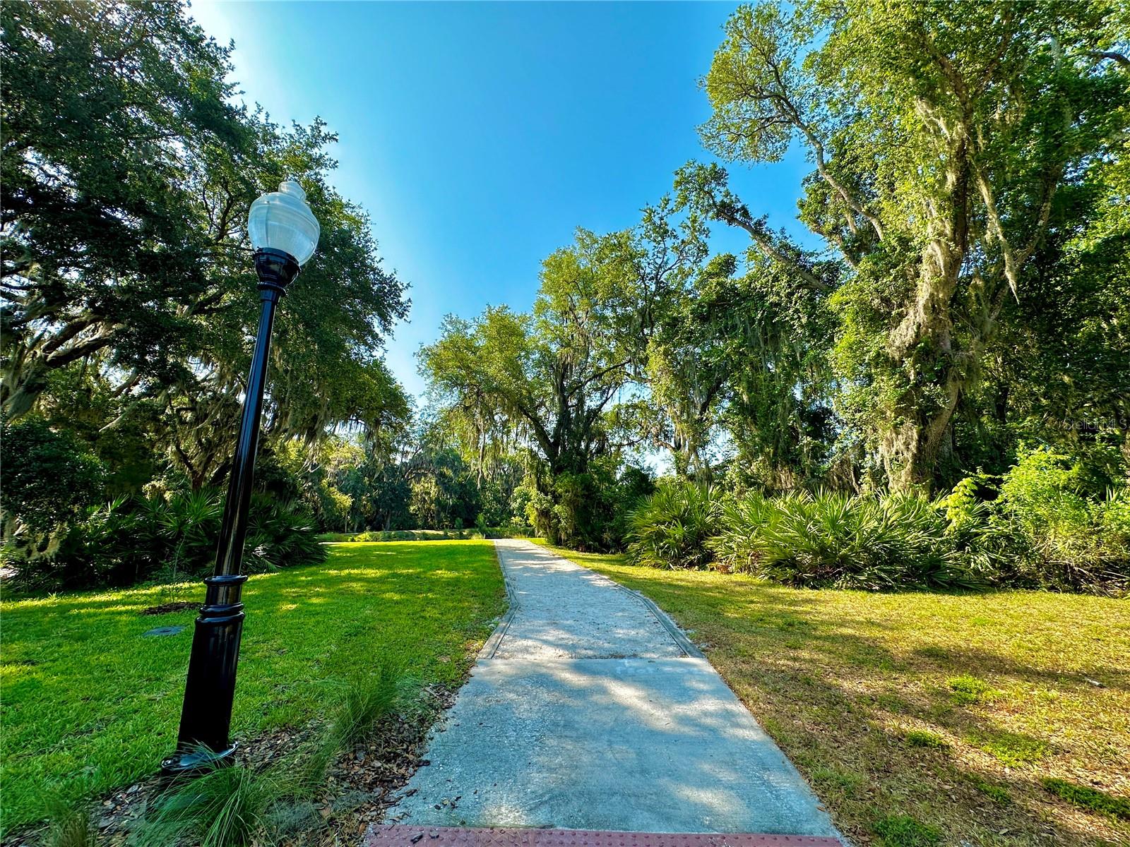4 TURKEY OAK LANE