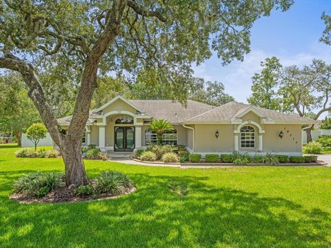Photo of 14717 Linden Drive, Spring Hill, FL 34609 (MLS # TB8411486)