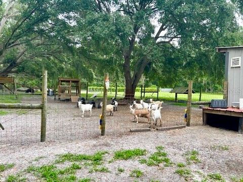 Tiny photo for 528 Ashley Ln, Center Hill, FL 33514 (MLS # O6413674)