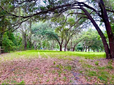 Tiny photo for 528 Ashley Ln, Center Hill, FL 33514 (MLS # O6413674)