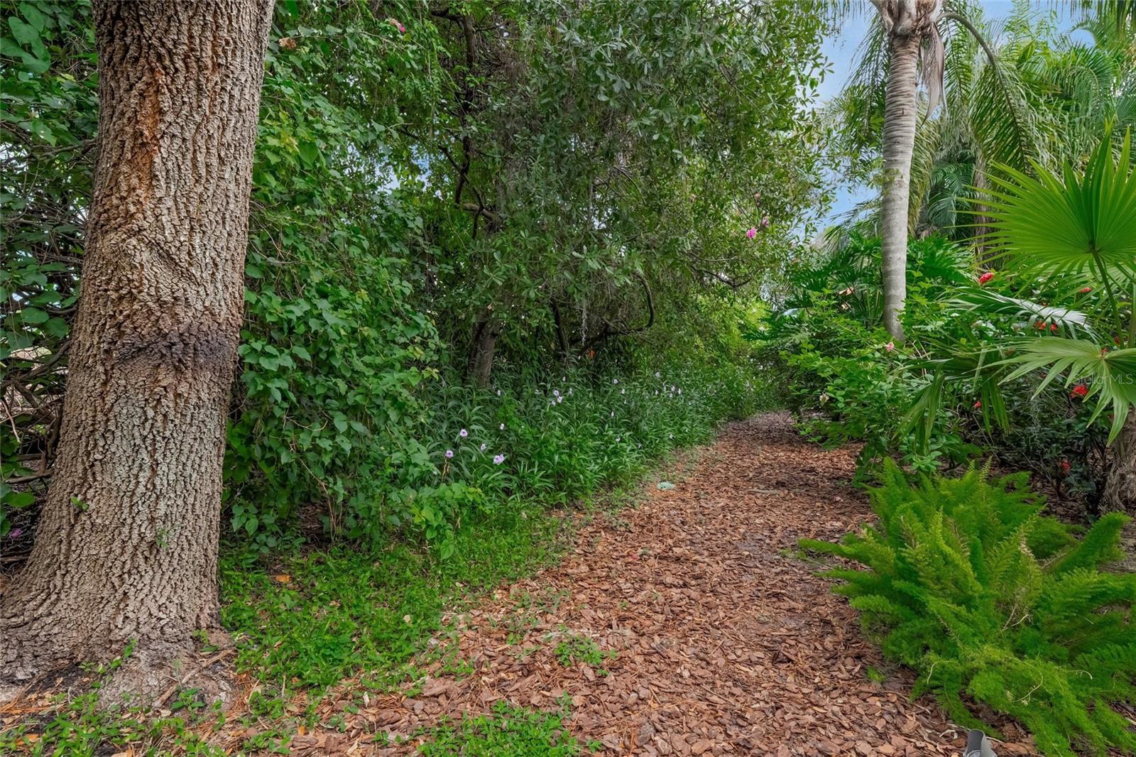 HAMMOCKS - Residential