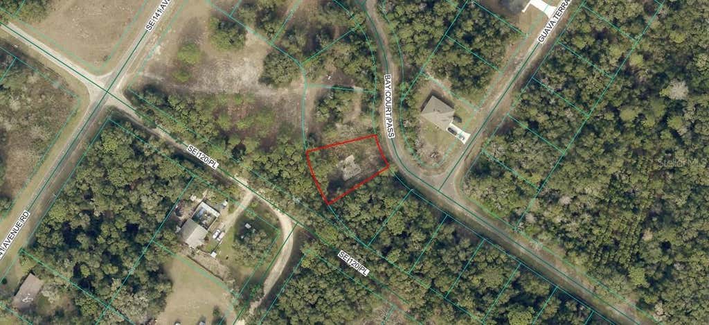 Photo of 77 Bay Court Pass, Ocklawaha, FL 32179 (MLS # OM730798)