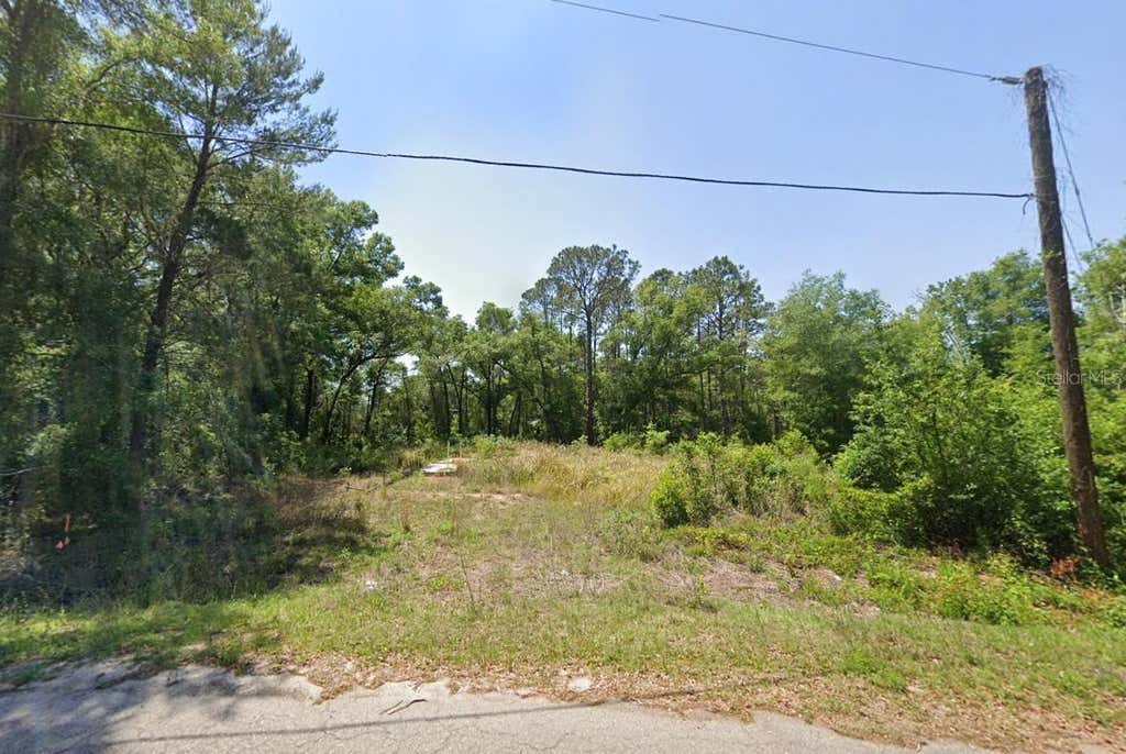 Photo of 77 Bay Court Pass, Ocklawaha, FL 32179 (MLS # OM730798)