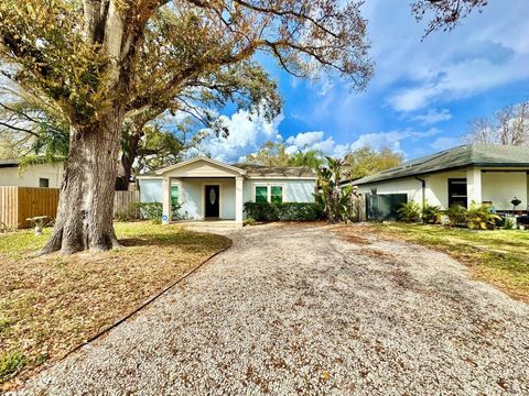 809 W HIAWATHA STREET TAMPA FL 33604