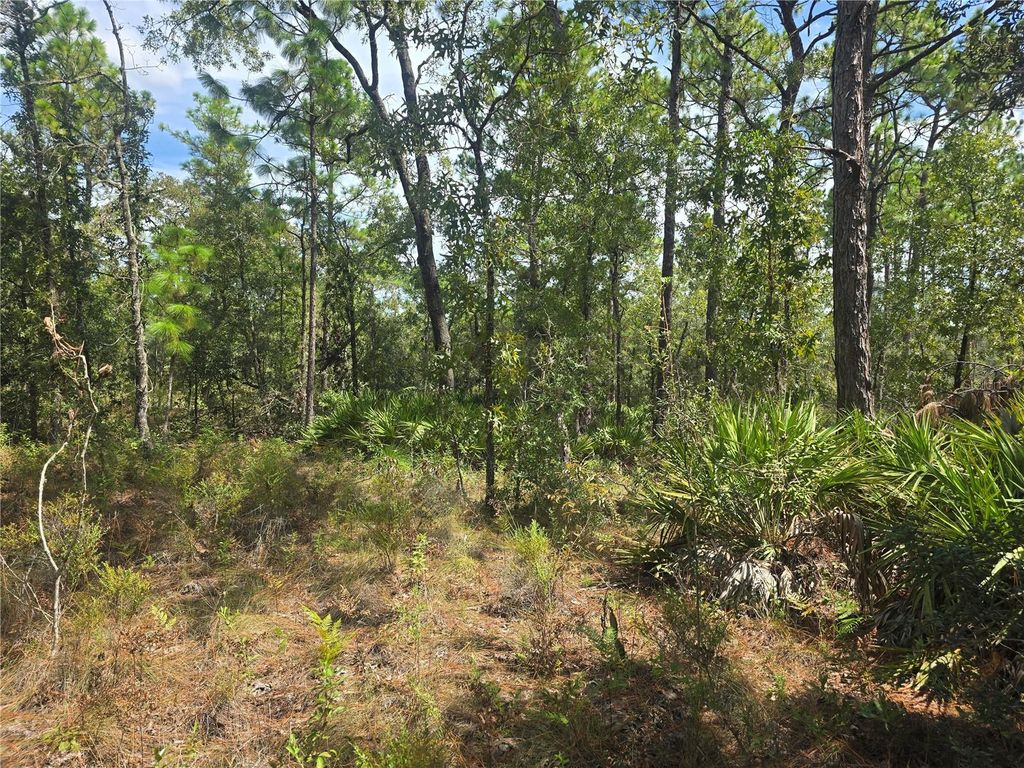 Photo of 7441 N June Terrace, Dunnellon, FL 34434 (MLS # OM708904)