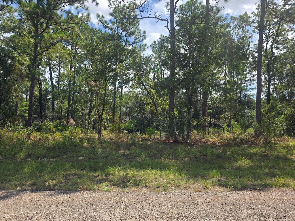 Photo of 7441 N June Terrace, Dunnellon, FL 34434 (MLS # OM708904)