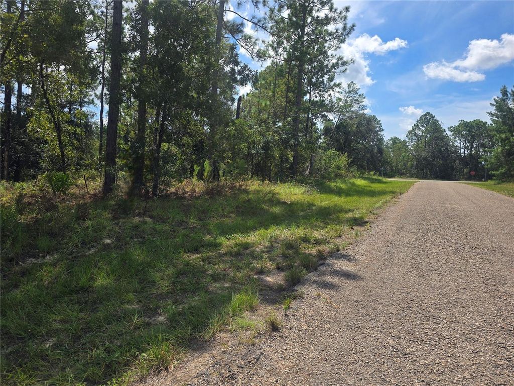 Photo of 7441 N June Terrace, Dunnellon, FL 34434 (MLS # OM708904)