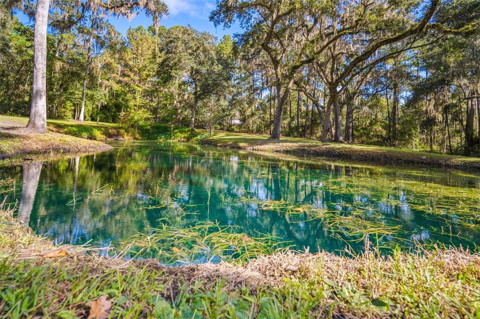 CEDAR LANE SITES - Residential
