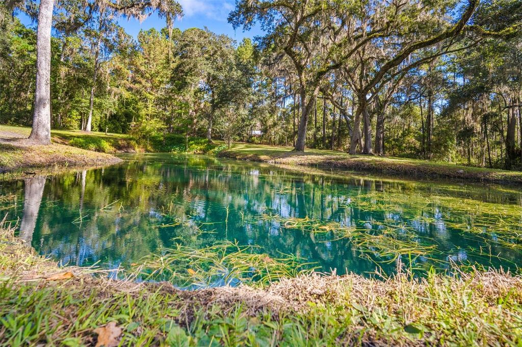 Photo of 23291 Lake Lindsey Road, Brooksville, FL 34601 (MLS # O6347912)