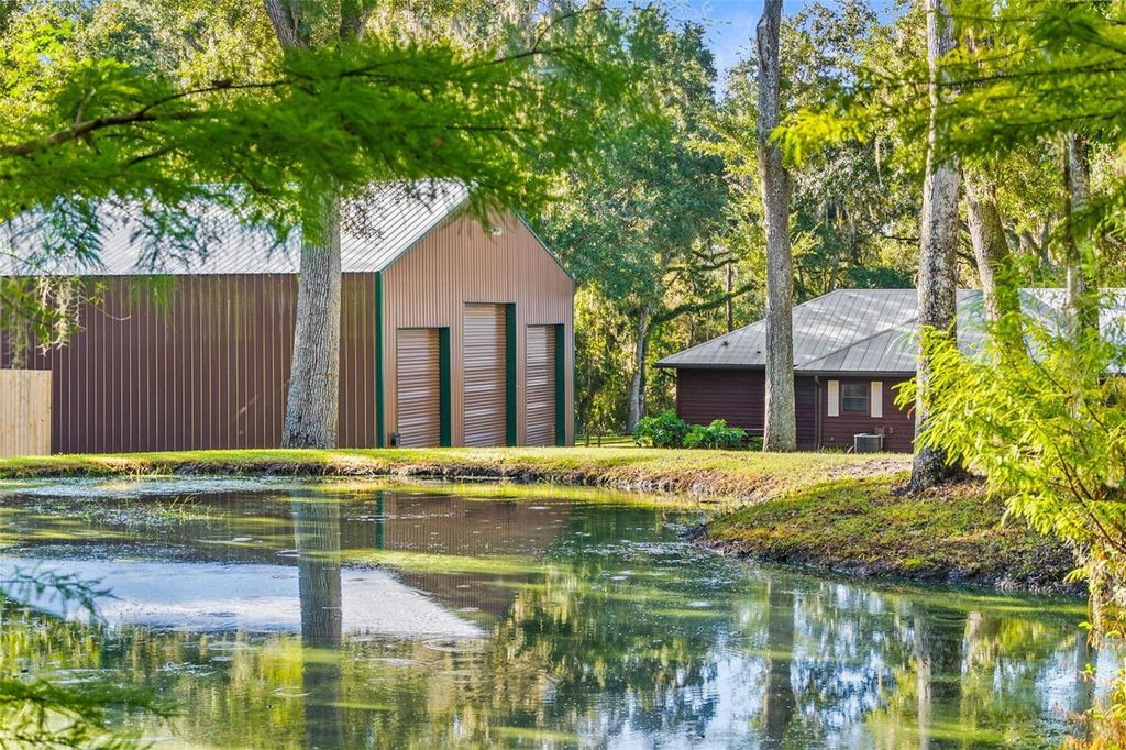 Photo of 23291 Lake Lindsey Road, Brooksville, FL 34601 (MLS # O6347912)