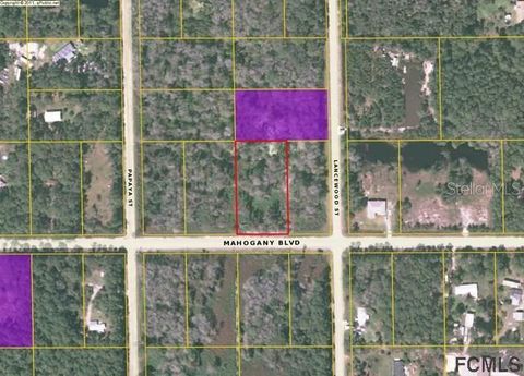 5014 N MAHOGANY BOULEVARD BUNNELL FL 32110