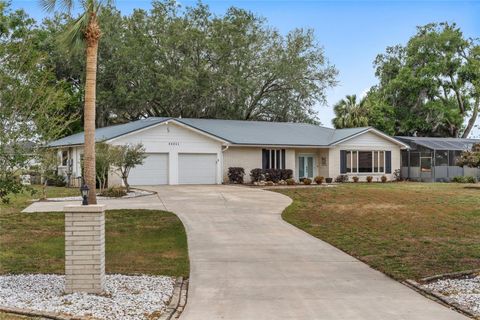 Photo of 33651 Overton Drive, Leesburg, FL 34788 (MLS # O6402186)