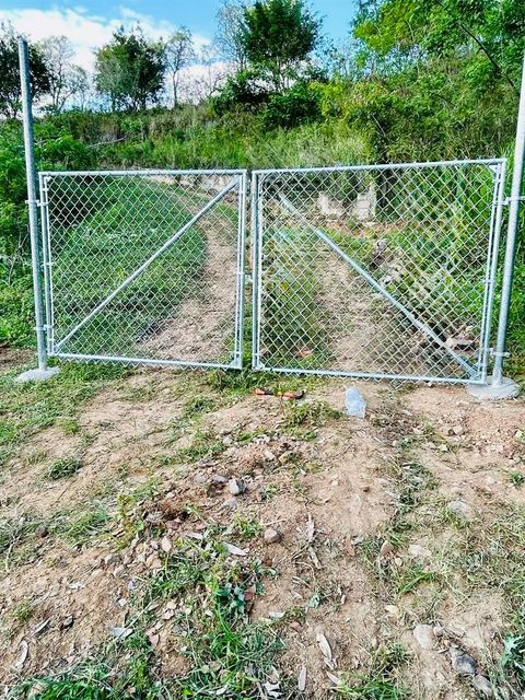 14 ROUTE KM 41.0 COAMO  00769